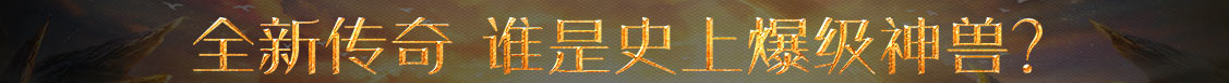 策略行数字行